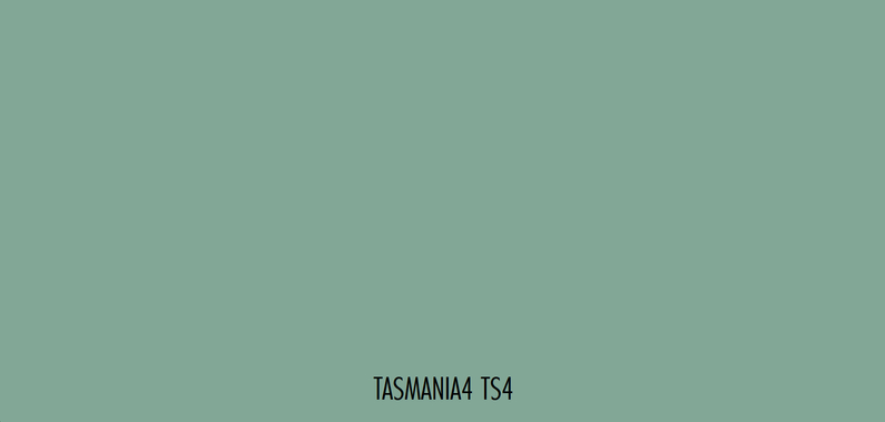 Nátěr silikátový fasádní Ceresit CT 54 15 l Tasmania4